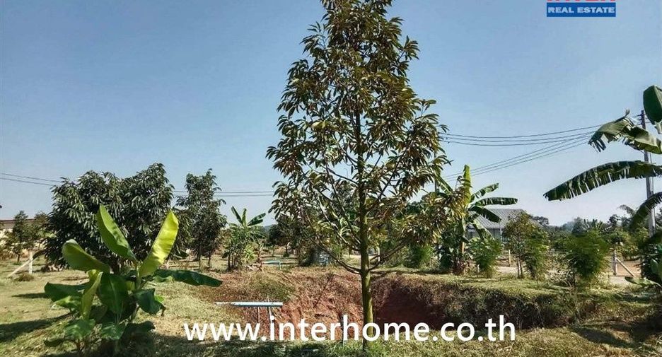 Terreno en venta en Dan Chang, Suphan Buri