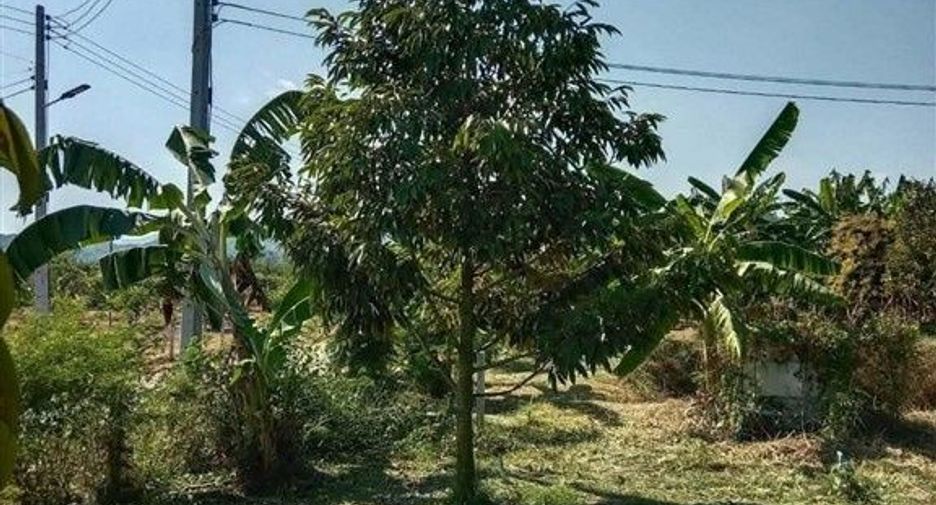 Terreno en venta en Dan Chang, Suphan Buri
