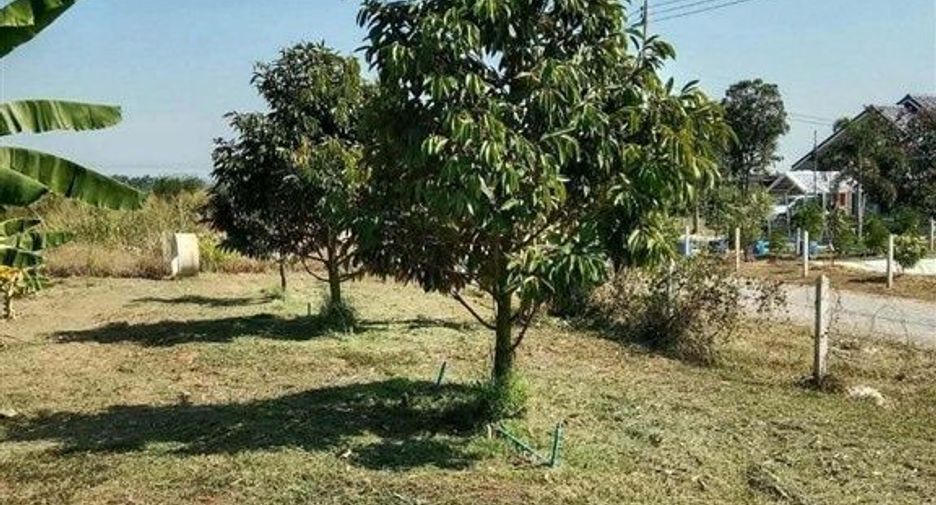 Terreno en venta en Dan Chang, Suphan Buri