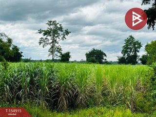 Продажа Участок в Nong Phai, Phetchabun