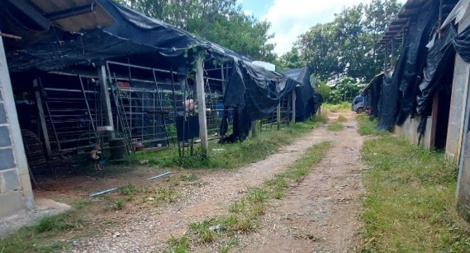 Продажа 5 спальни дом в Ko Chan, Чонбури