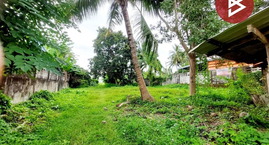 For sale land in Rattanawapi, Nong Khai