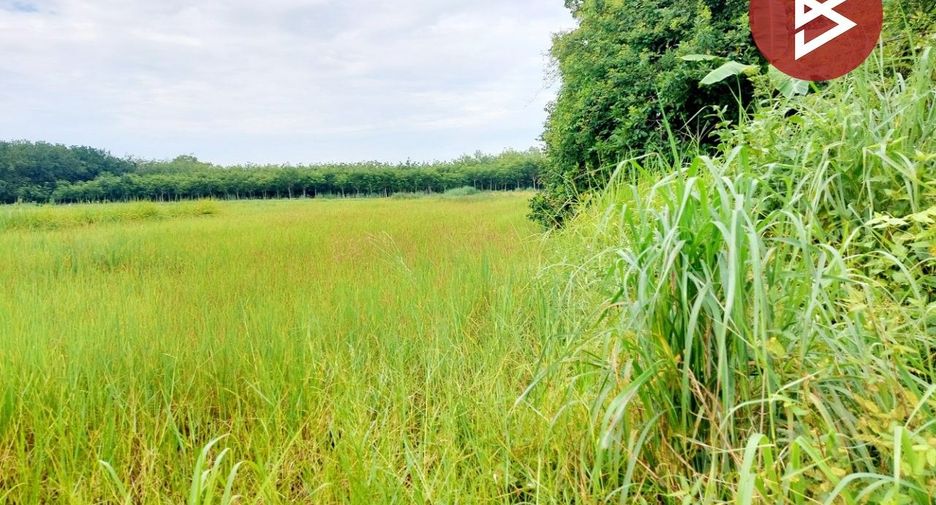 For sale land in Rattanawapi, Nong Khai