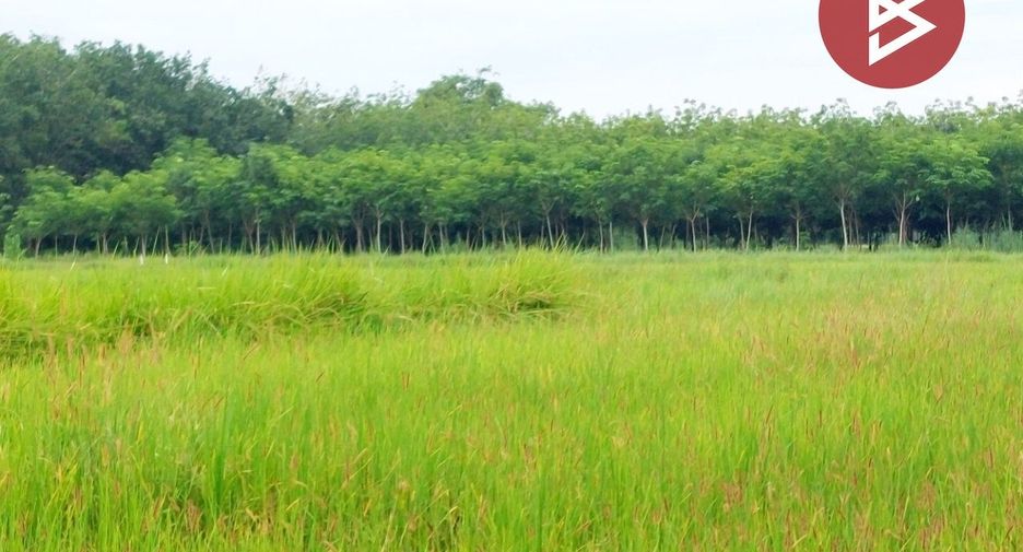 For sale land in Rattanawapi, Nong Khai