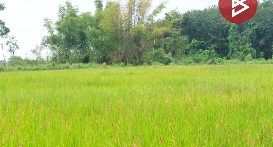For sale land in Rattanawapi, Nong Khai