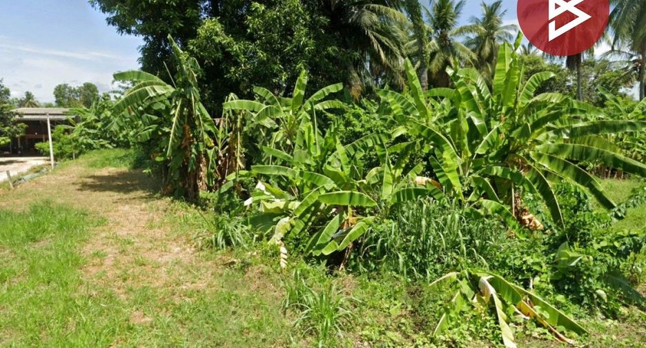 For sale land in Ban Tak, Tak
