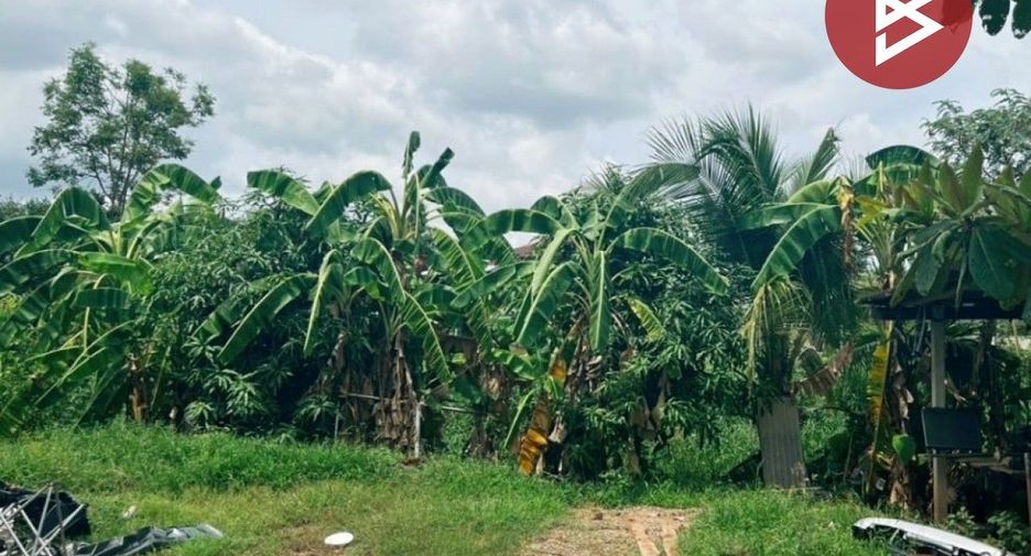 For sale land in Nong Chang, Uthai Thani