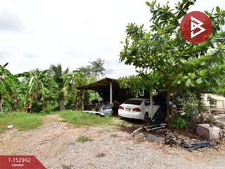 For sale land in Nong Chang, Uthai Thani
