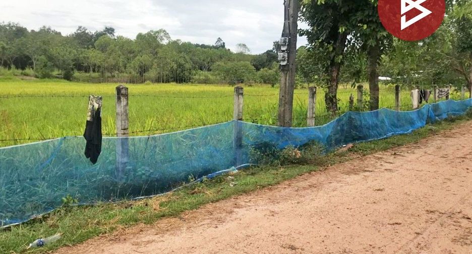 For sale land in Si Songkhram, Nakhon Phanom