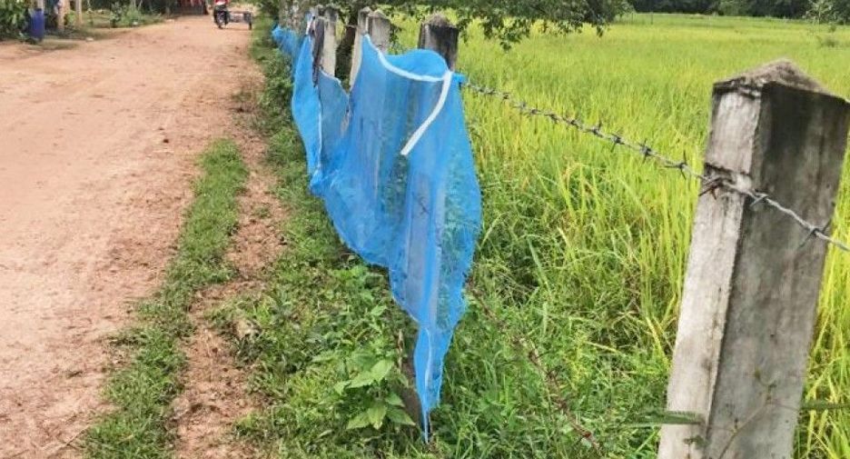 For sale land in Si Songkhram, Nakhon Phanom