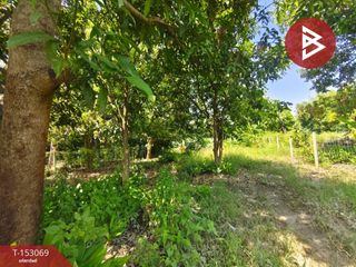 For sale land in Ban Pong, Ratchaburi