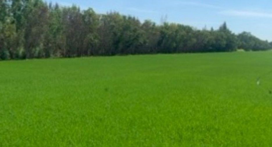 Terreno en venta en Ongkharak, Nakhon Nayok