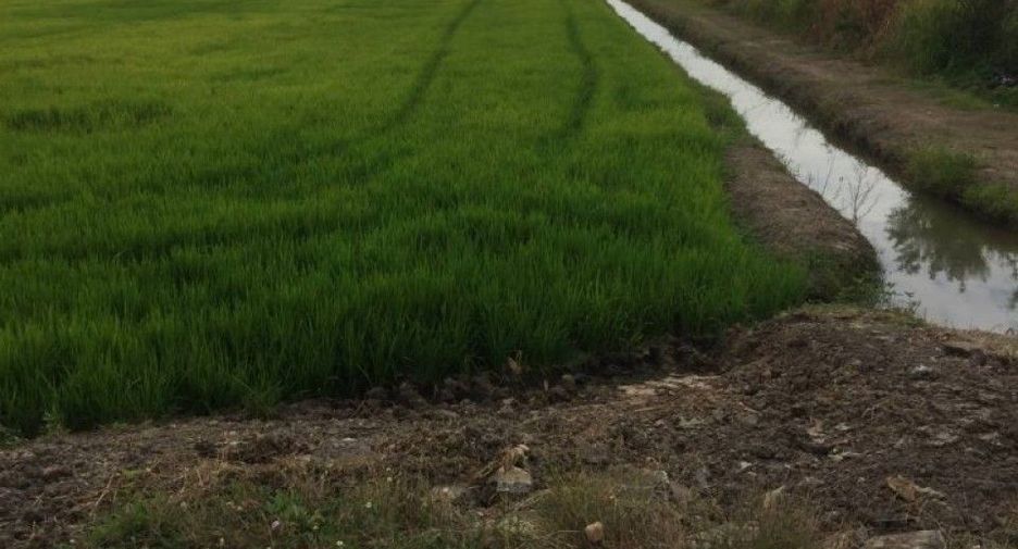 Terreno en venta en Ongkharak, Nakhon Nayok