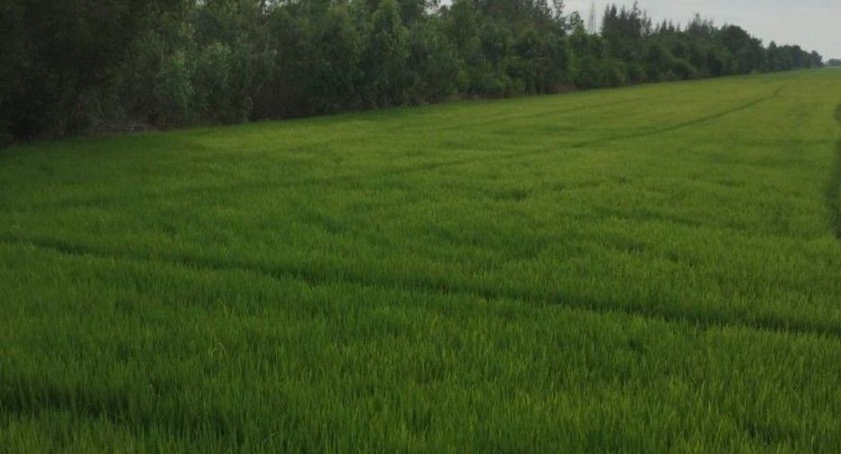 Terreno en venta en Ongkharak, Nakhon Nayok