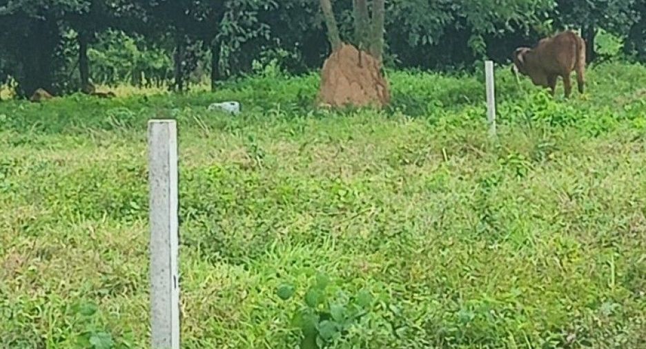 Grundstück zum Kauf in Nam Phong, Khon Kaen