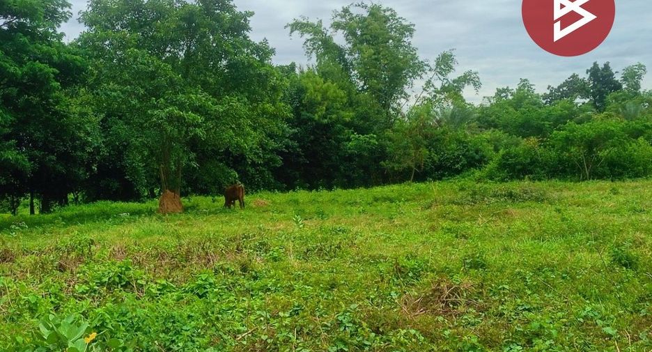 Grundstück zum Kauf in Nam Phong, Khon Kaen