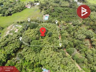 For sale land in Prachantakham, Prachin Buri