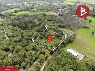 For sale land in Prachantakham, Prachin Buri