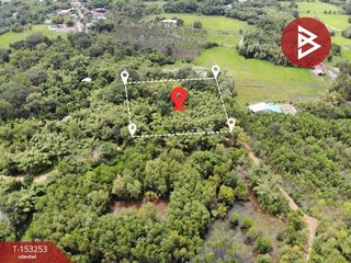 For sale land in Prachantakham, Prachin Buri