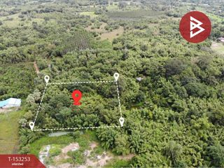 For sale land in Prachantakham, Prachin Buri