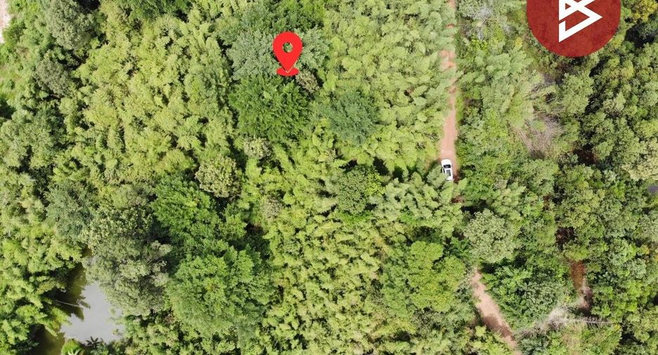 For sale land in Prachantakham, Prachin Buri