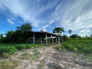 For sale 1 bed warehouse in Tha Tako, Nakhon Sawan