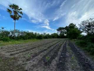 For sale 1 bed warehouse in Tha Tako, Nakhon Sawan