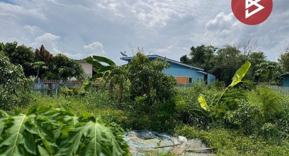For sale land in Bang Pakong, Chachoengsao