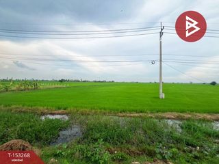 For sale land in Song Phi Nong, Suphan Buri