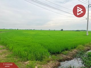 For sale land in Song Phi Nong, Suphan Buri