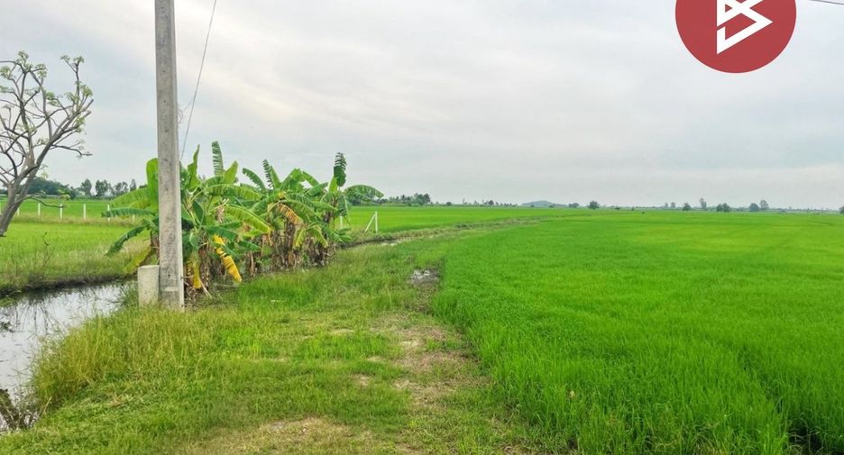 For sale land in Song Phi Nong, Suphan Buri