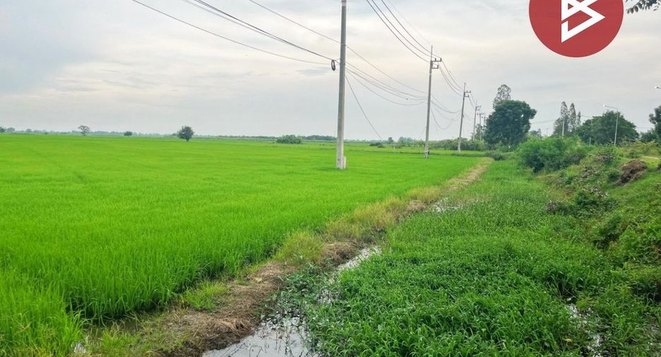 For sale land in Song Phi Nong, Suphan Buri