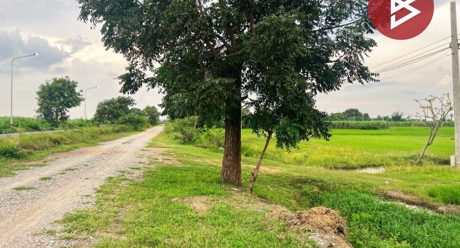 For sale land in Song Phi Nong, Suphan Buri