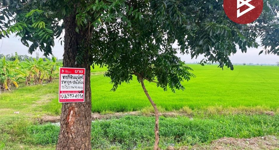 For sale land in Song Phi Nong, Suphan Buri