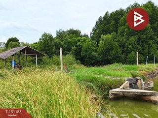 出售 土地 在 Ban Laem, Phetchaburi