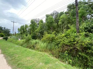 出售 土地 在 Klaeng, Rayong