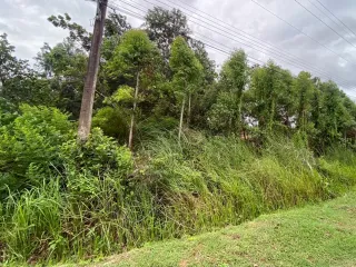 出售 土地 在 Klaeng, Rayong