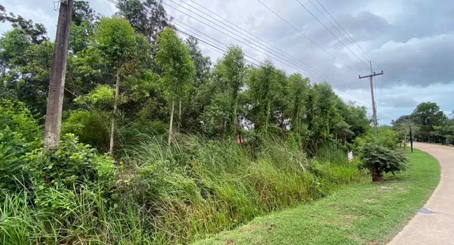 出售 土地 在 Klaeng, Rayong