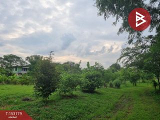 For sale land in Sam Khok, Pathum Thani