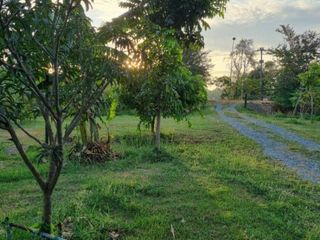 For sale land in Sam Khok, Pathum Thani