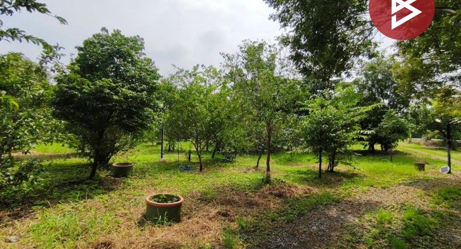 For sale land in Sam Khok, Pathum Thani