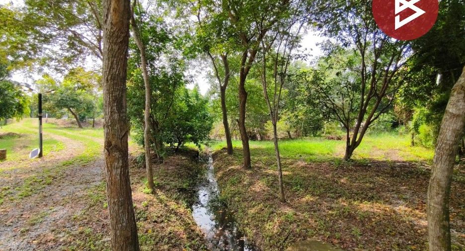 For sale land in Sam Khok, Pathum Thani