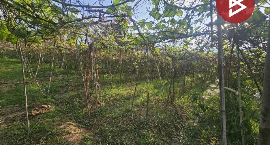 For sale land in Pak Tho, Ratchaburi