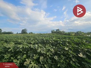 For sale land in Pak Tho, Ratchaburi