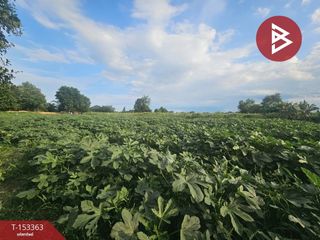 For sale land in Pak Tho, Ratchaburi