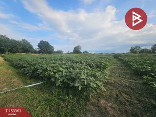 For sale land in Pak Tho, Ratchaburi