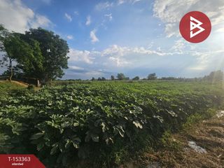 For sale land in Pak Tho, Ratchaburi