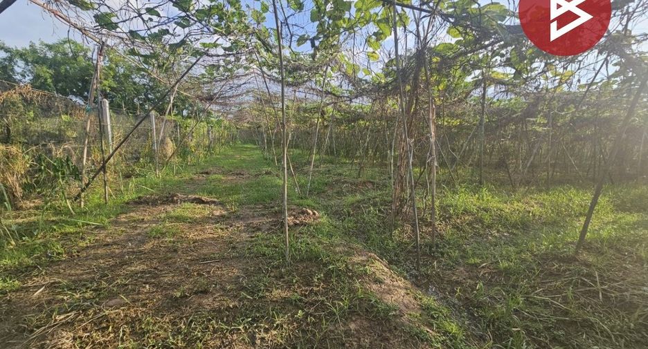 For sale land in Pak Tho, Ratchaburi