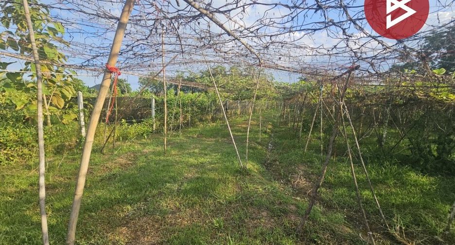 For sale land in Pak Tho, Ratchaburi