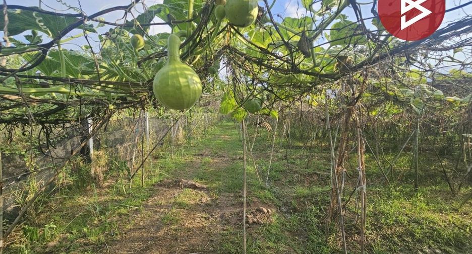 For sale land in Pak Tho, Ratchaburi